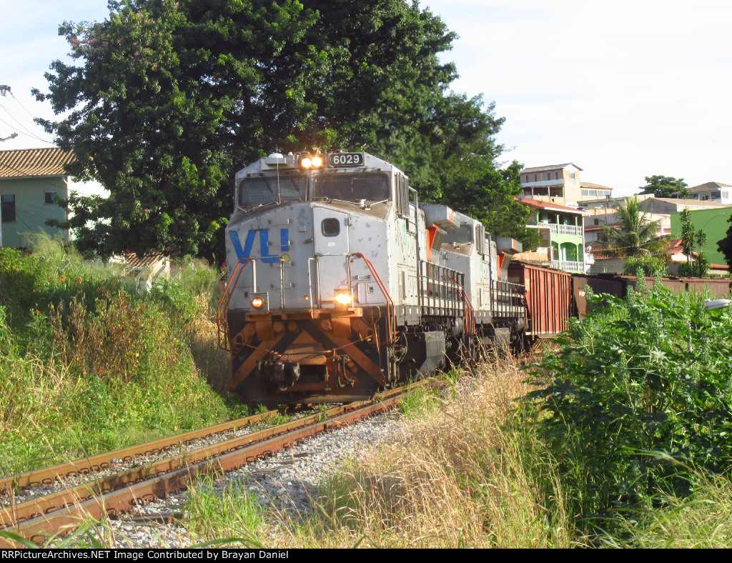 VLI 6029
